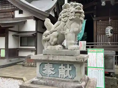 伊豆美神社の狛犬