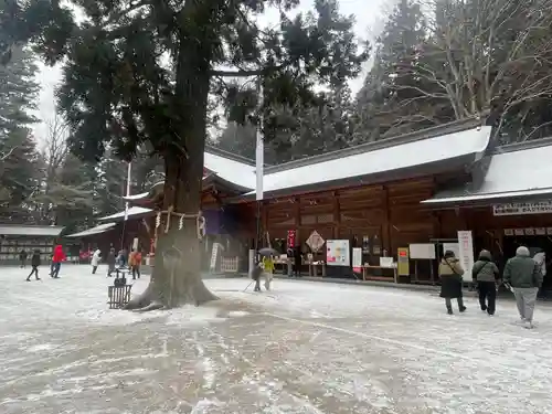 穂高神社本宮(長野県)