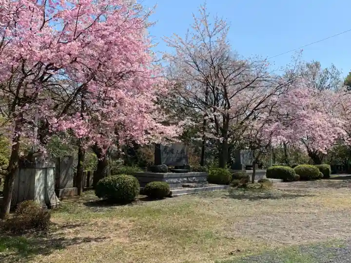 足羽山招魂社の自然