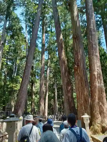 高野山金剛峯寺奥の院(和歌山県)
