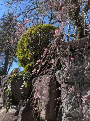 瑞円寺(東京都)