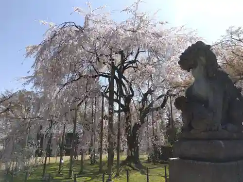 足羽神社(福井県)
