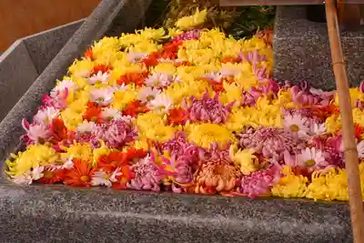 射水神社の手水舎