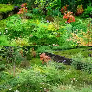 寿量山 速成寺の自然(2021年09月15日(水) 08時32分51秒投稿)