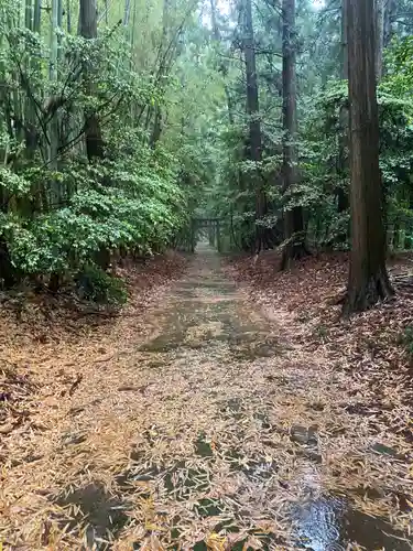 胎安神社(茨城県)