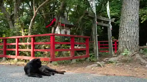美與利大明神(宮城県)