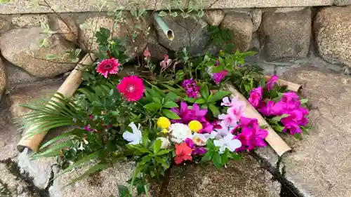 生田神社(兵庫県)