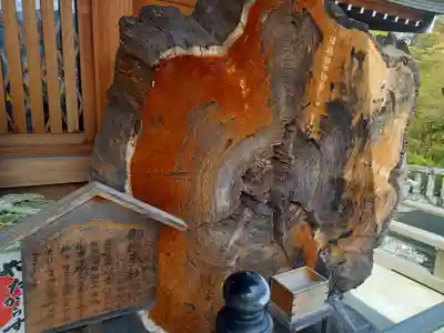 丹生川上神社（上社）(奈良県)