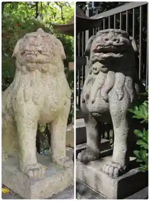 大江神社の狛犬