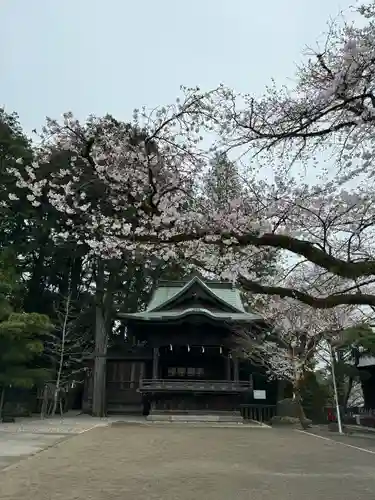 宇都宮二荒山神社(栃木県)