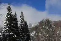 磐椅神社の自然