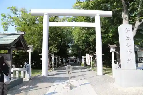 新琴似神社の鳥居