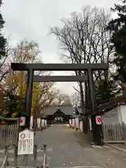 旭川神社の鳥居