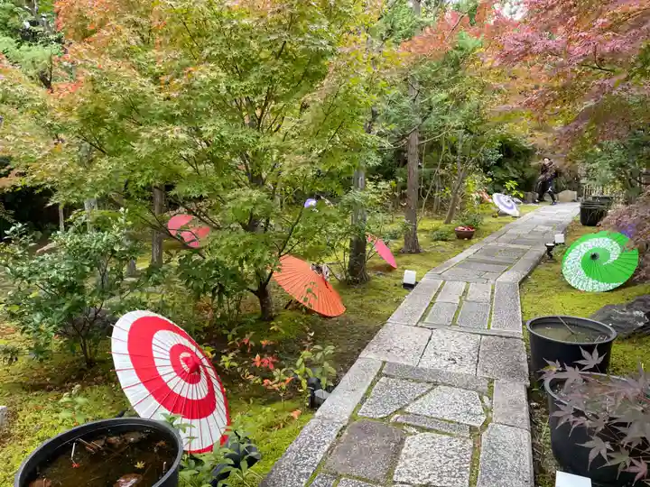 勝林寺(京都府)