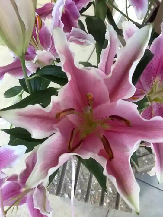 清洲山王宮 日吉神社の庭園