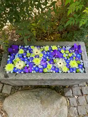 行田八幡神社の手水舎