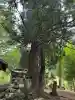 板益神社の庭園