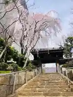 法輪寺(東京都)