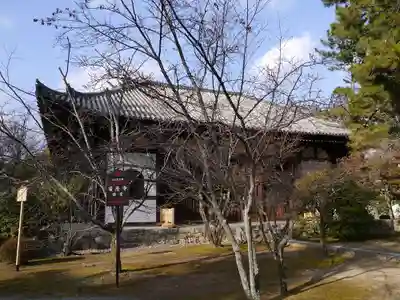 廣隆寺の本殿・本堂