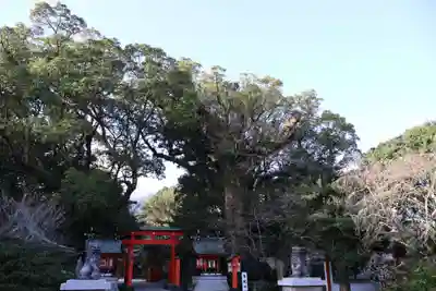 枚聞神社(鹿児島県)