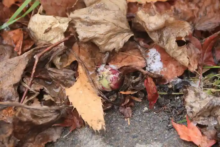 滑川神社 - 仕事と子どもの守り神の自然