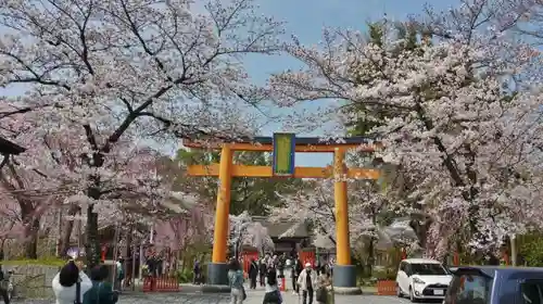 平野神社の鳥居