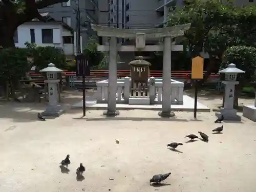 天津神社の動物