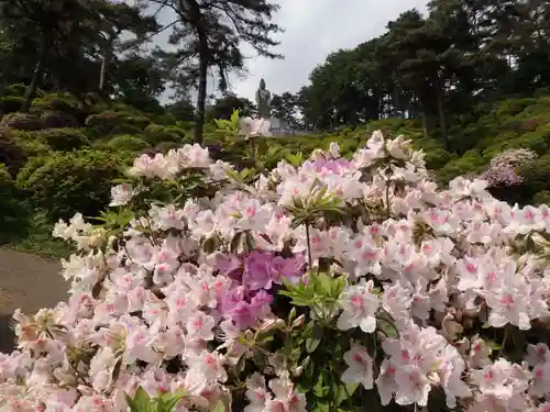 塩船観音寺の仏像