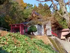 白狐山光星寺(山形県)(2023年11月16日(木) 21時09分36秒投稿)