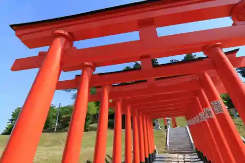 高屋敷稲荷神社の鳥居