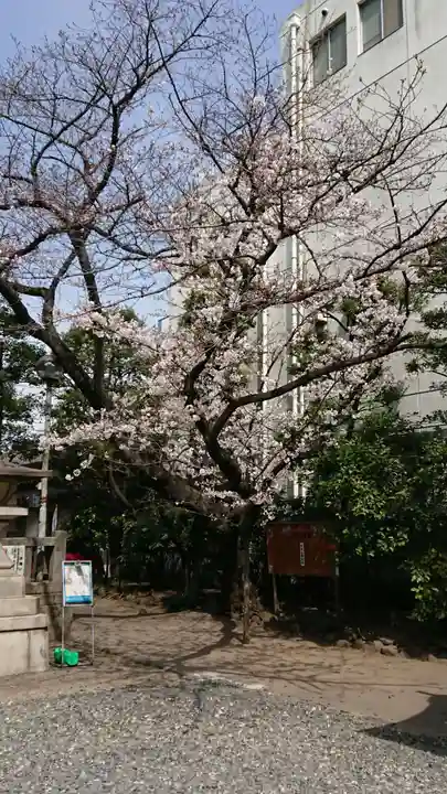 猿江神社の庭園