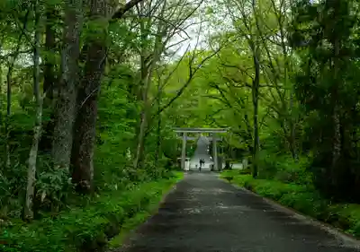戸隠神社九頭龍社(長野県)