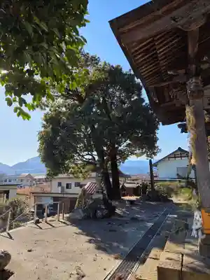 諏訪神社(埼玉県)