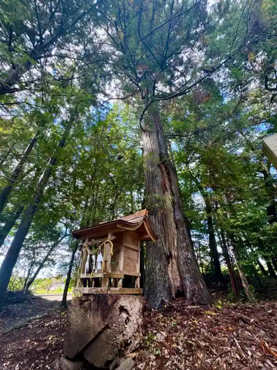 知波夜比古神社(広島県)