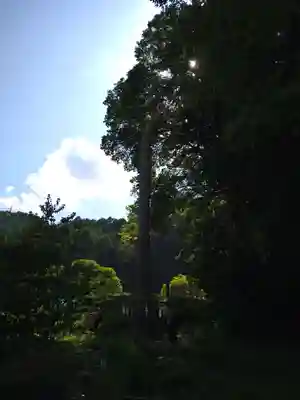 諏訪大社上社前宮(長野県)