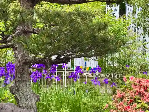 開成山大神宮(福島県)