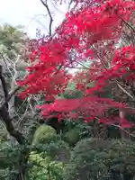 浄光明寺の自然