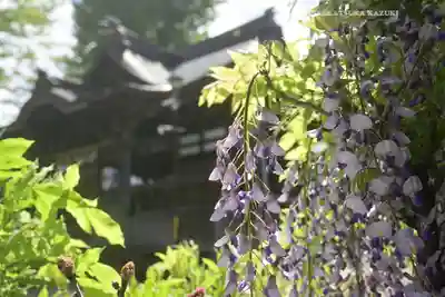 滝野川八幡神社(東京都)