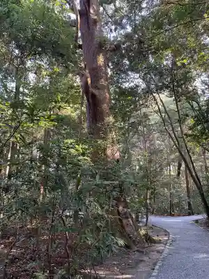 伊勢神宮外宮（豊受大神宮）(三重県)