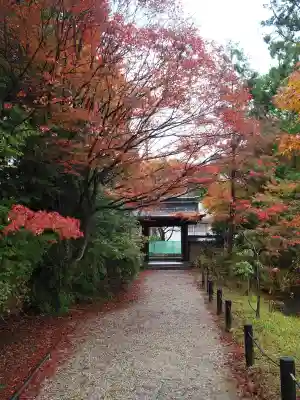 円成寺の{uncategorized: "未分類", other: "その他", undefined: "問題あり", building: "その他建物", grave: "お墓", sacred_gate: "鳥居", guardian: "狛犬", statue: "像", buddha: "仏像", history: "歴史", nature: "自然", garden: "庭園", animal: "動物", pagoda: "塔", temizu: "手水舎", mountain_gate: "山門・神門", sanctuary: "本殿・本堂", subordinate: "末社・摂社", art: "芸術", scenery: "景色", jizo: "地蔵", ema: "絵馬", goshuin: "御朱印", omikuji: "おみくじ", items: "授与品その他", amulet: "お守り", goshuincho: "御朱印帳", eats: "食事", festival: "お祭り", votive_dance: "神楽", shichigosan: "七五三参", wedding: "結婚式", experience: "体験その他", initially: "初詣", around: "周辺", anti_infection: "感染症対策"}