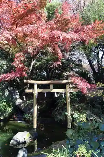 愛宕神社の鳥居