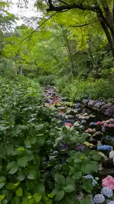 長谷寺(奈良県)