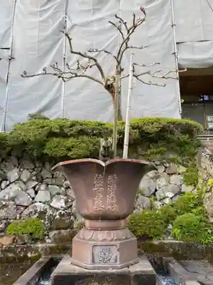 松尾寺のその他建物