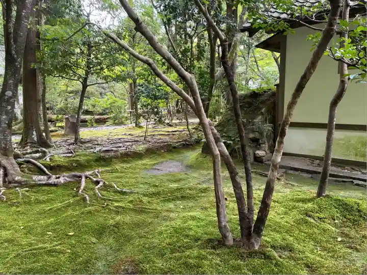 法然院(京都府)