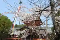 石清水八幡宮(京都府)