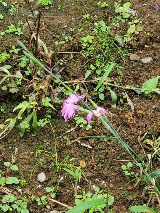 不動寺(埼玉県)