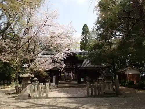 池坐朝霧黄幡比賣神社の本殿・本堂