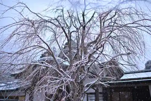 大山阿夫利神社(神奈川県)