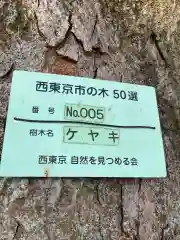 尉殿神社の建物その他