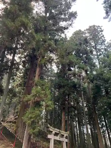 大宮温泉神社の自然